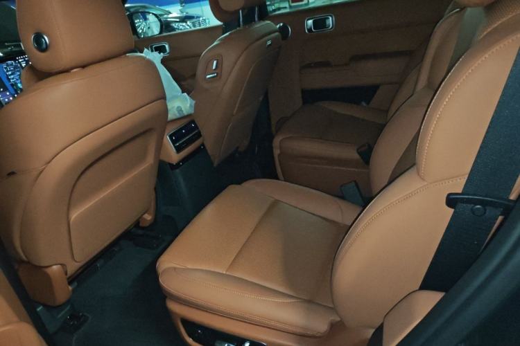 Used Li Auto L9 2022 Max model Left Rear Seat
