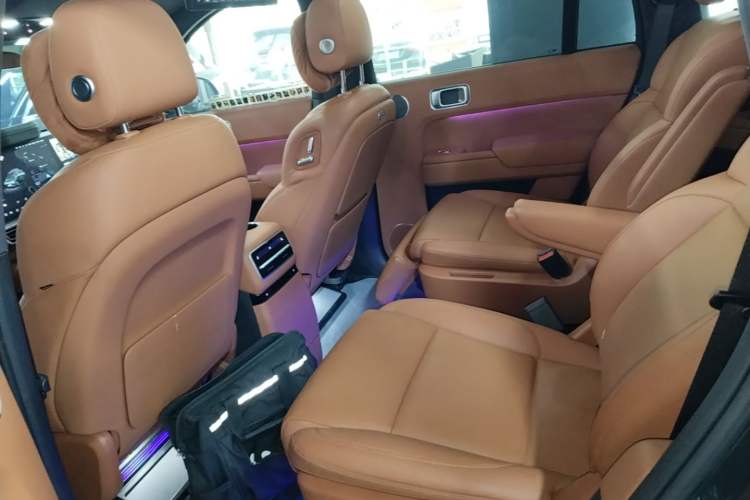 Used Li Auto L9 2022 Max model Left Rear Seat