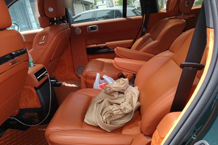 Used Li Auto L9 2022 Max model Left Rear Seat