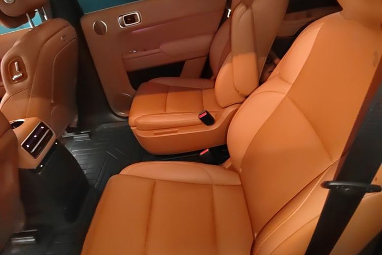 Used Li Auto L9 2022 Max model Left Rear Seat
