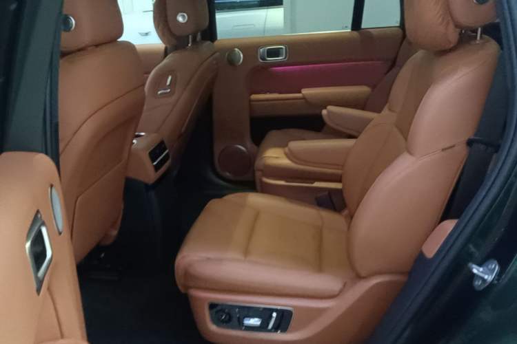 Used Li Auto L9 2022 Max model Left Rear Seat