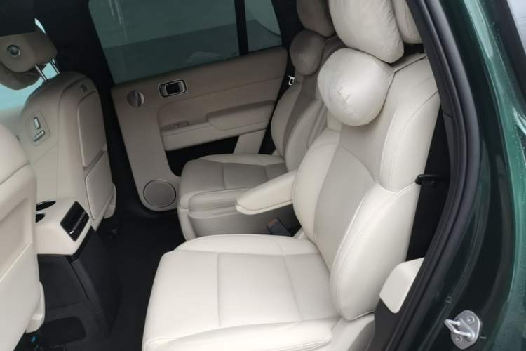Used Li Auto L9 2022 Max model Left Rear Seat