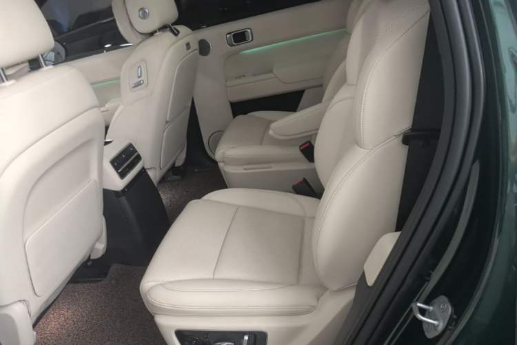 Used Li Auto L9 2022 Max model Left Rear Seat