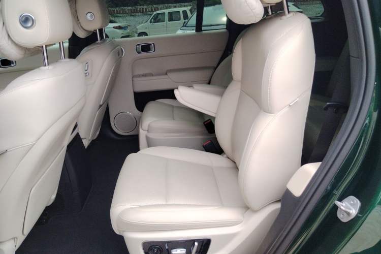 Used Li Auto L9 2022 Max model Left Rear Seat