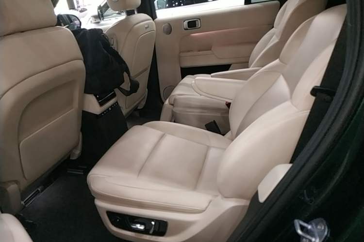 Used Li Auto L9 2022 Max model Left Rear Seat