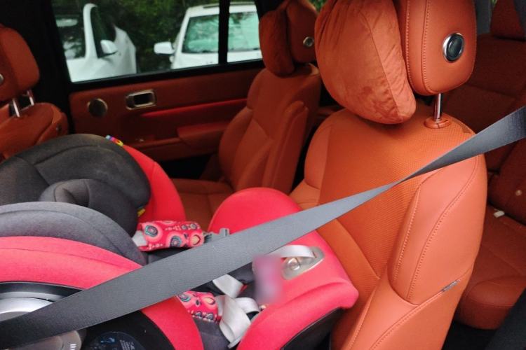 Used Li Auto L9 2022 Max model Left Rear Seat