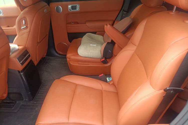 Used Li Auto L9 2022 Max model Left Rear Seat