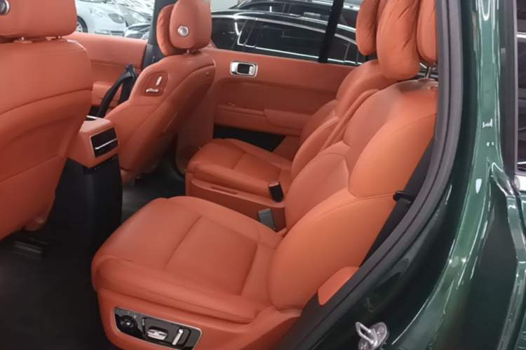 Used Li Auto L9 2022 Max model Left Rear Seat