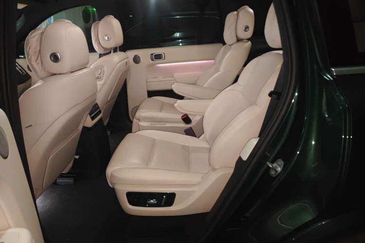 Used Li Auto L9 2022 Max model Left Rear Seat