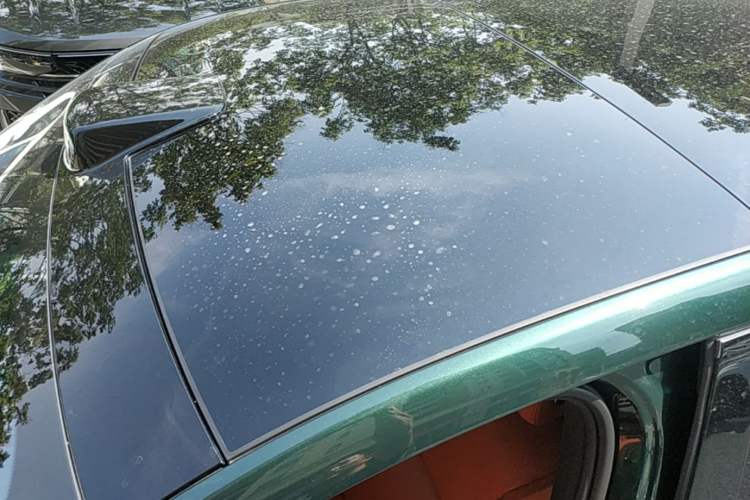 Used Li Auto L9 2022 Max model Roof
