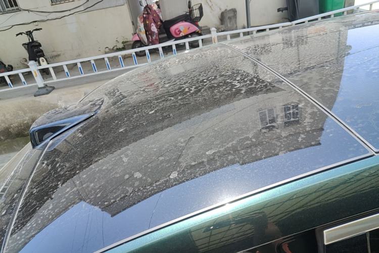 Used Li Auto L9 2022 Max model Roof