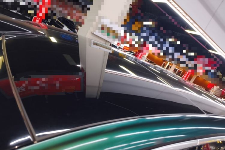 Used Li Auto L9 2022 Max model Roof