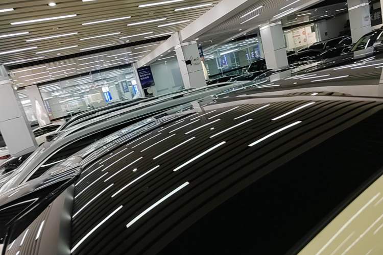 Used Li Auto L9 2022 Max model Roof