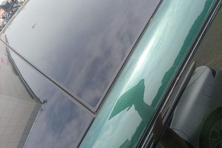 Used Li Auto L9 2022 Max model Roof