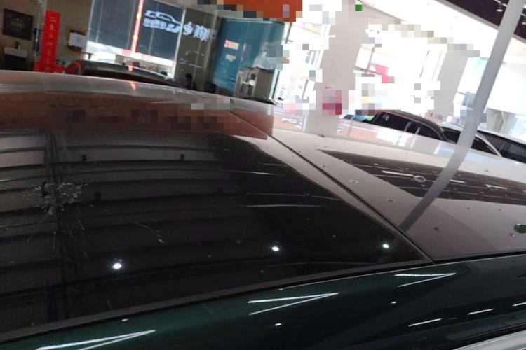Used Li Auto L9 2022 Max model Roof