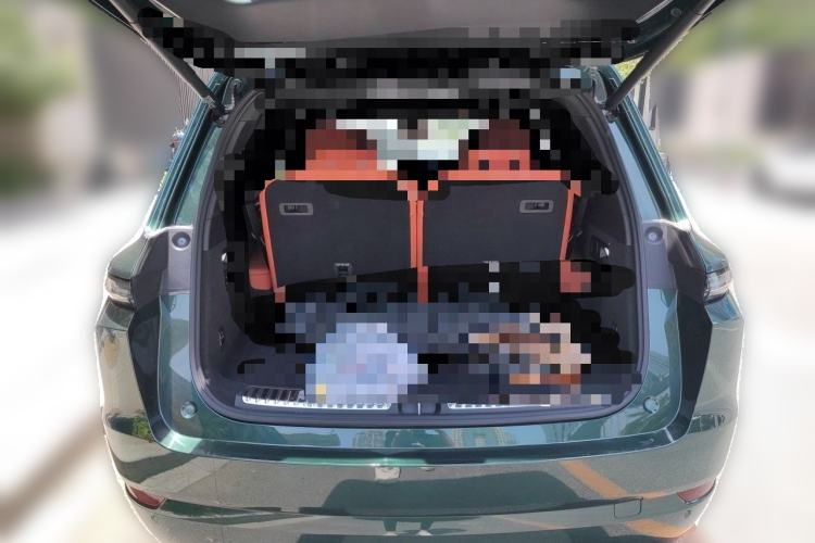 Used Li Auto L9 2022 Max model Trunk