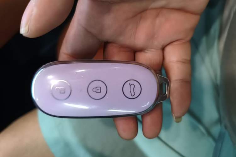 Used Li Auto L9 2022 Max model Vehicle Key