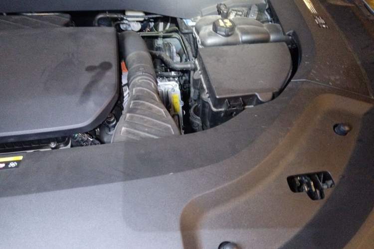 Used Li Auto L9 2022 Max model Engine Bay Left