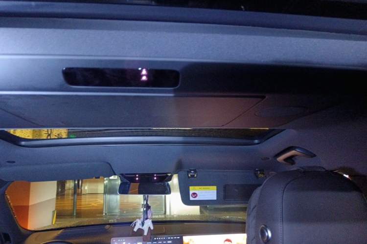 Used Li Auto L9 2022 Max model Headliner