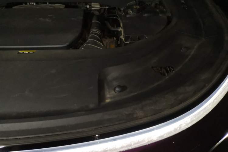 Used Li Auto L9 2022 Max model Engine Bay Left