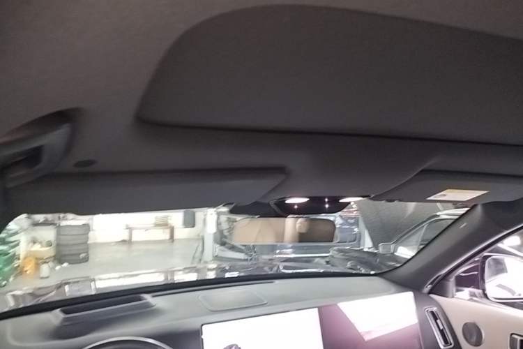 Used Li Auto L9 2022 Max model Headliner