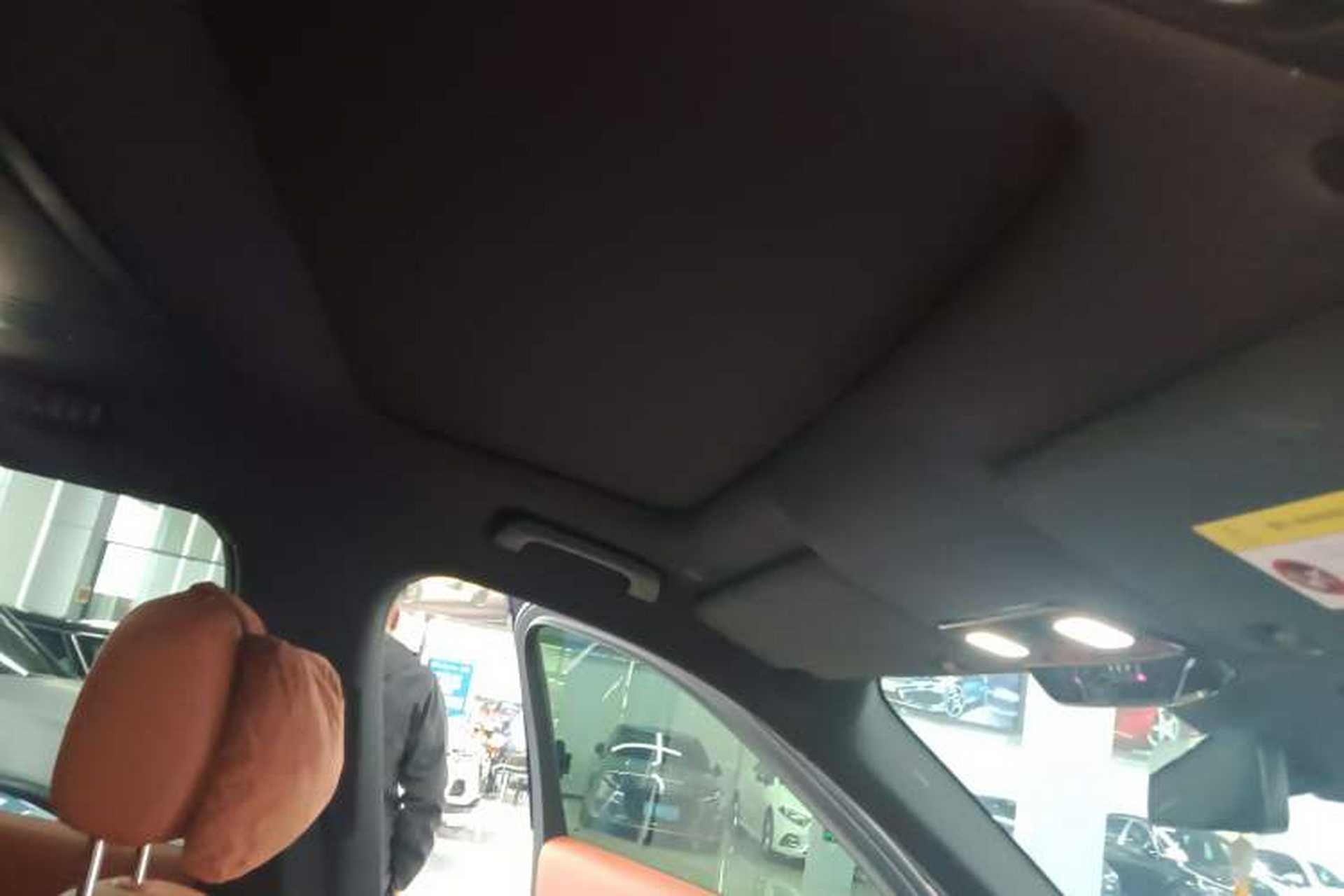 Used Li Auto L9 2022 Max model Headliner