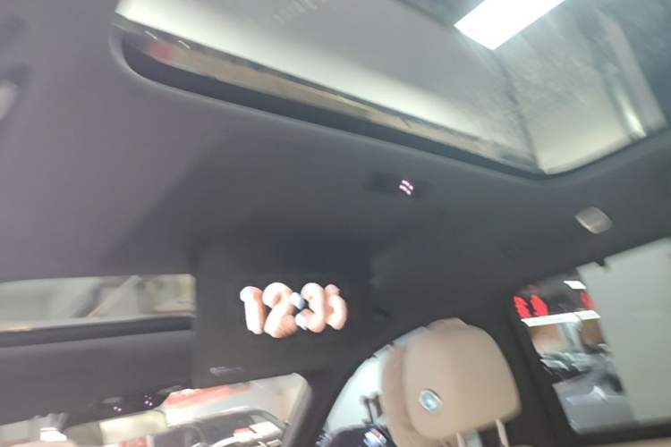 Used Li Auto L9 2022 Max model Headliner