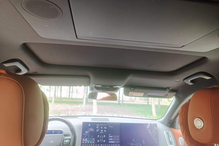 Used Li Auto L9 2022 Max model Headliner