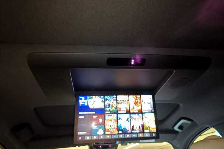 Used Li Auto L9 2022 Max model Headliner