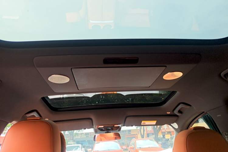 Used Li Auto L9 2022 Max model Headliner