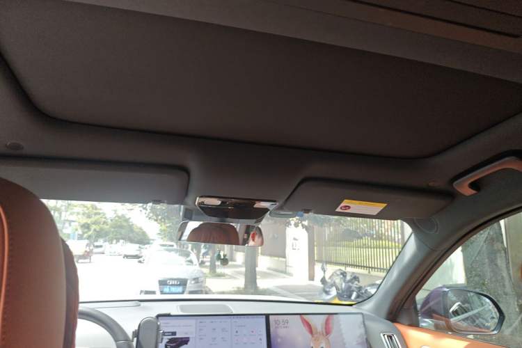 Used Li Auto L9 2022 Max model Headliner