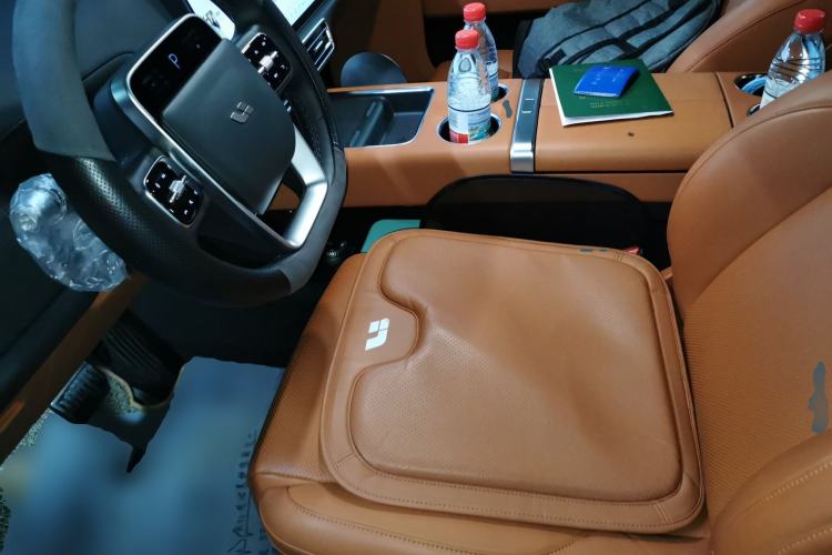 Used Li Auto L9 2022 Max model Left Front Seat