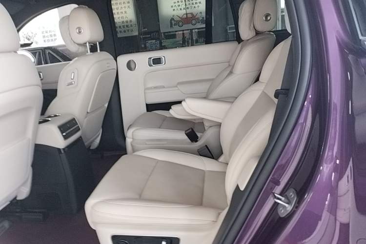 Used Li Auto L9 2022 Max model Left Rear Seat