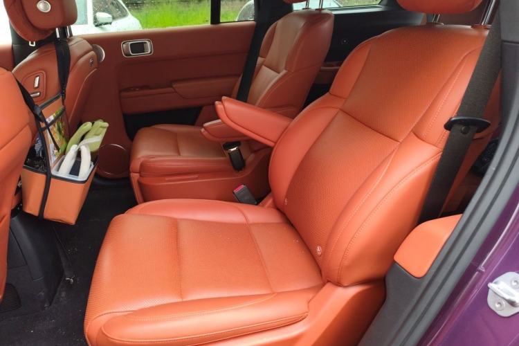 Used Li Auto L9 2022 Max model Left Rear Seat