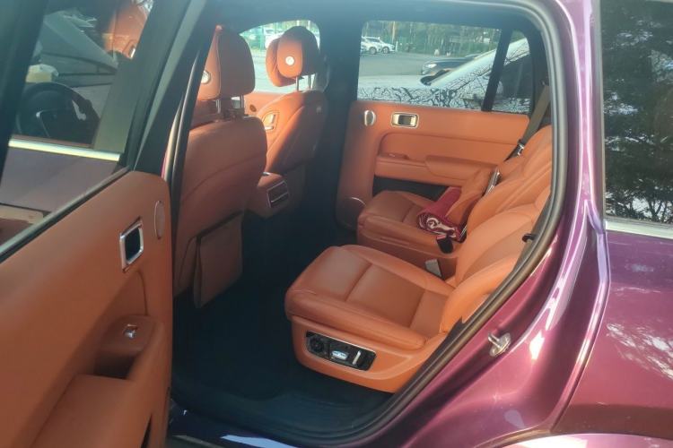 Used Li Auto L9 2022 Max model Left Rear Seat