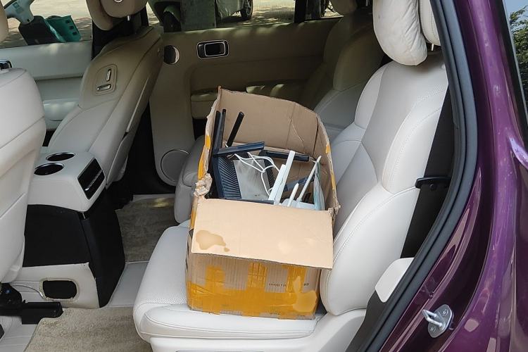 Used Li Auto L9 2022 Max model Left Rear Seat
