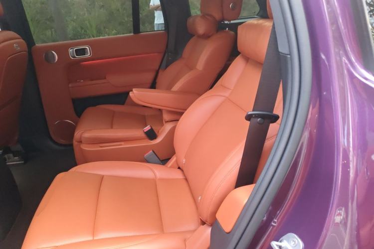 Used Li Auto L9 2022 Max model Left Rear Seat