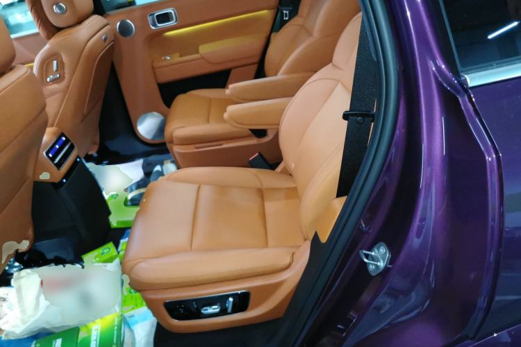 Used Li Auto L9 2022 Max model Left Rear Seat