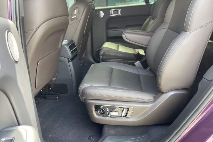 Used Li Auto L9 2022 Max model Left Rear Seat