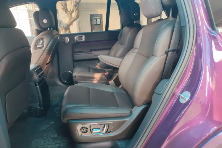 Used Li Auto L9 2022 Max model Left Rear Seat