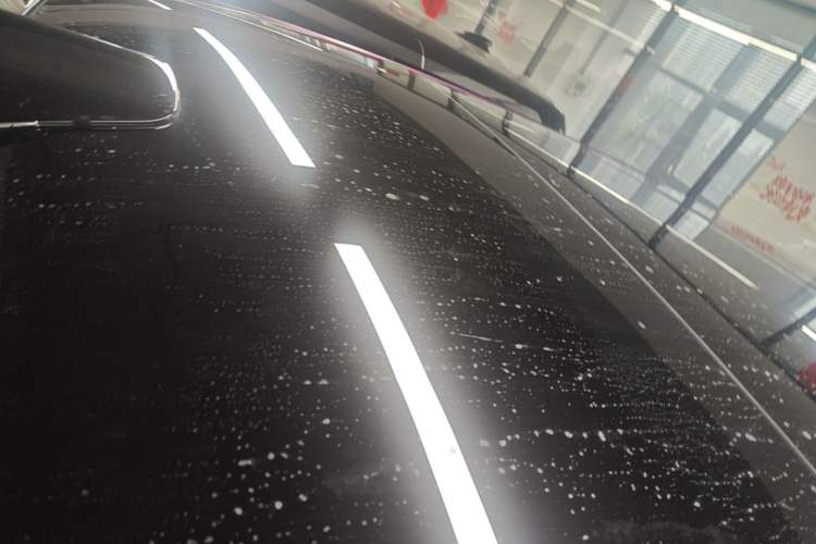 Used Li Auto L9 2022 Max model Roof