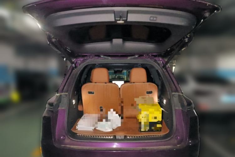 Used Li Auto L9 2022 Max model Trunk