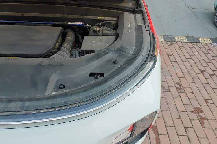 Used Li Auto L9 2022 Max model Engine Bay Left