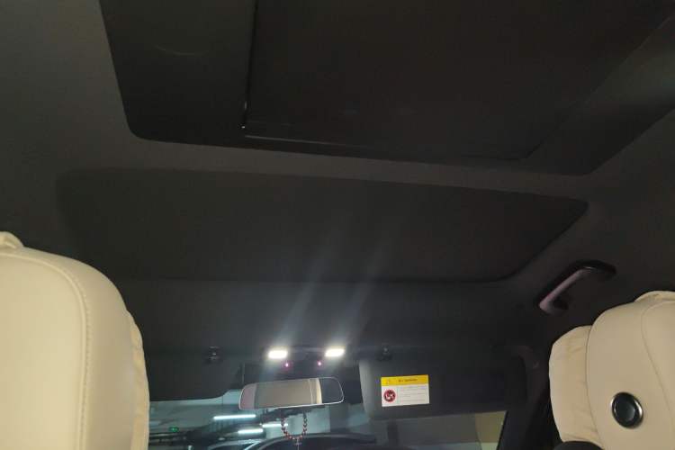 Used Li Auto L9 2022 Max model Headliner