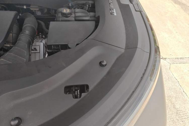 Used Li Auto L9 2022 Max model Engine Bay Left