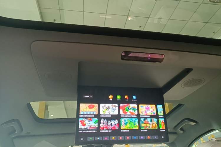 Used Li Auto L9 2022 Max model Headliner