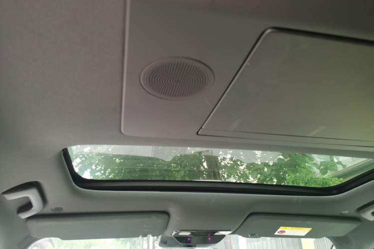 Used Li Auto L9 2022 Max model Headliner
