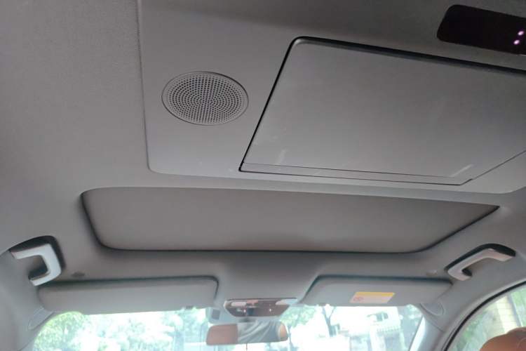 Used Li Auto L9 2022 Max model Headliner
