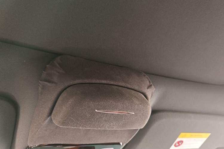 Used Li Auto L9 2022 Max model Headliner