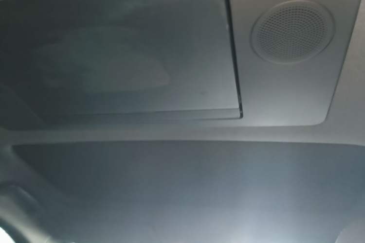 Used Li Auto L9 2022 Max model Headliner